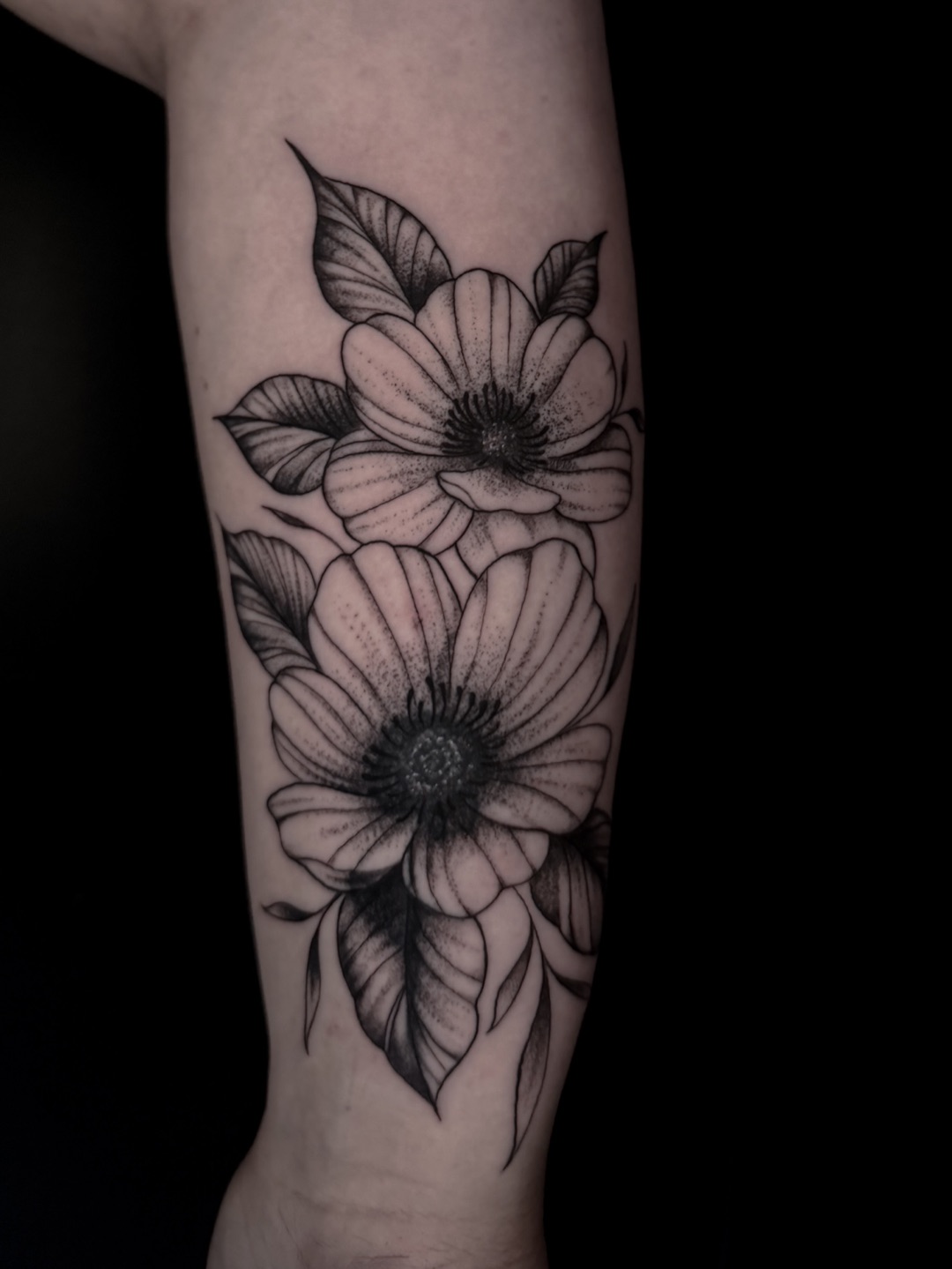Zwart-grijze fineline bloementattoo met twee grote bloemen en bladeren op een onderarm.
